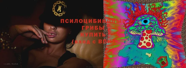 apvp Переславль-Залесский