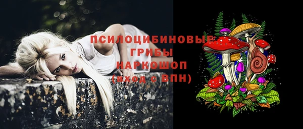 apvp Переславль-Залесский