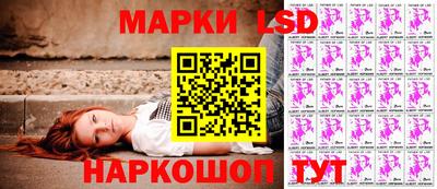 сатива Беслан