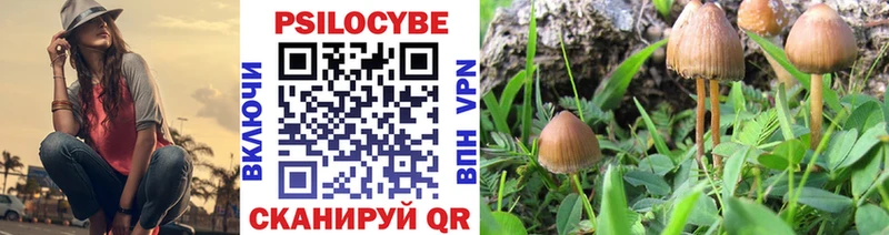 Псилоцибиновые грибы Psilocybe Бугуруслан