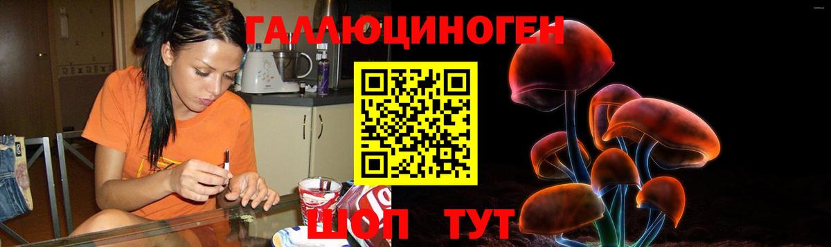 Псилоцибиновые грибы MAGIC MUSHROOMS Бугуруслан